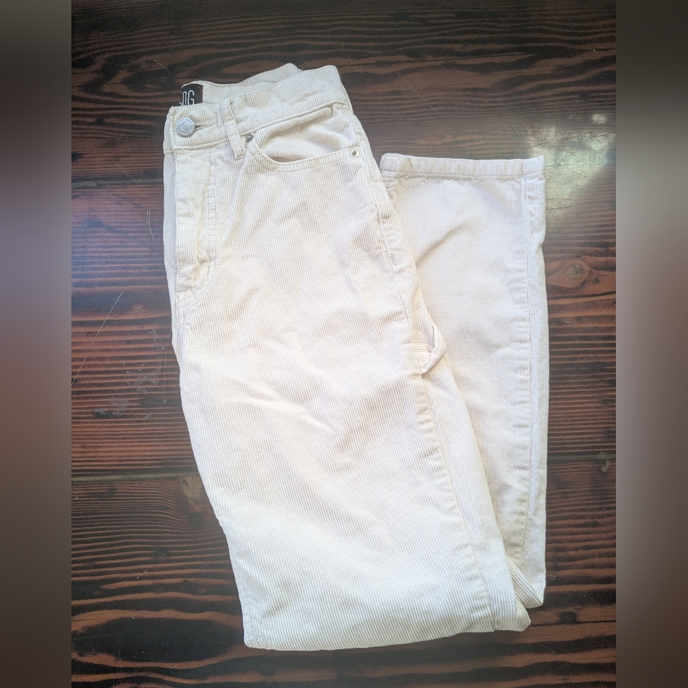 BDG Urban Outfitters Slim Straight Corduroy Pants - 25